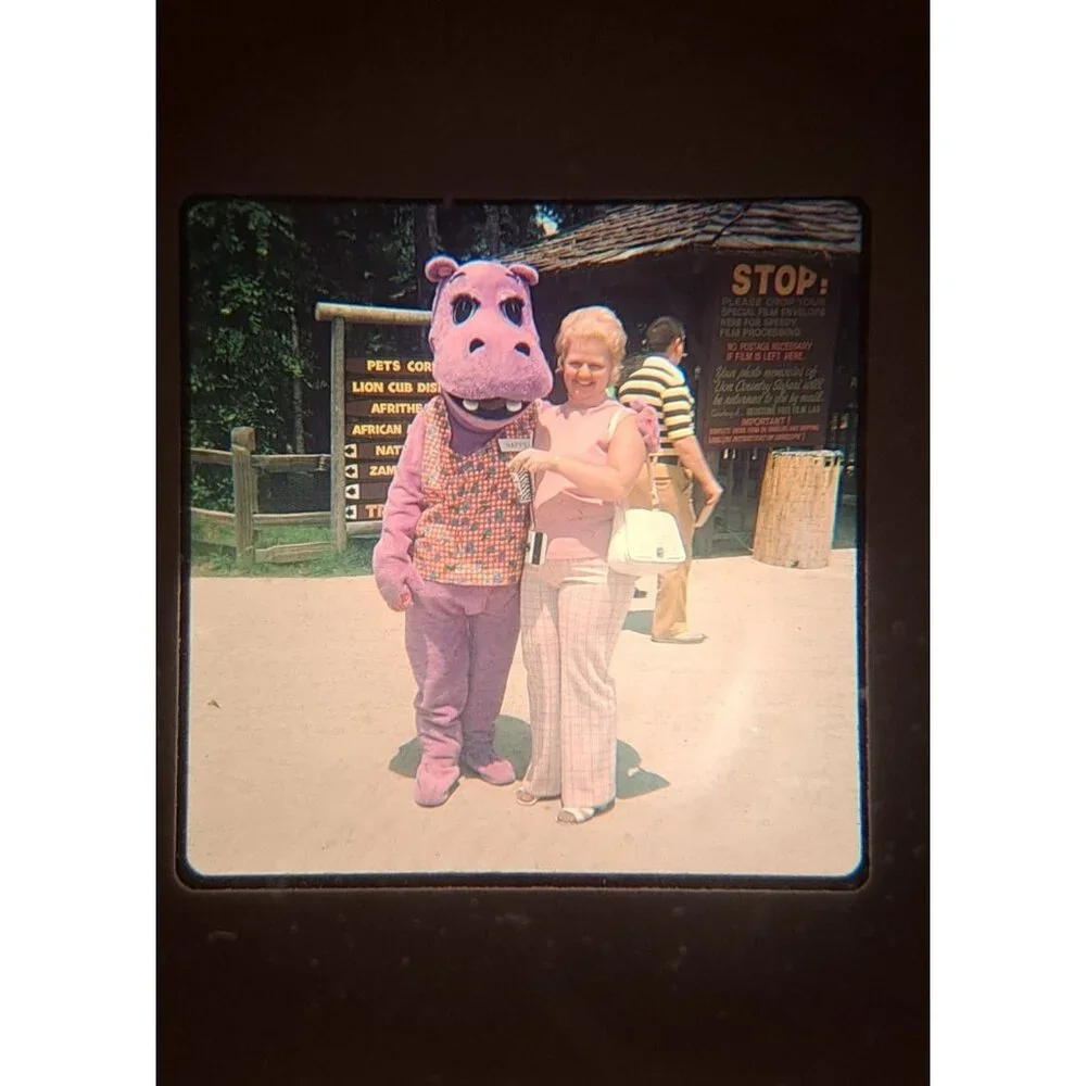 Vintage Family Vacation Slides 31 From 1973-1975 Christmas Lion Country Beach
